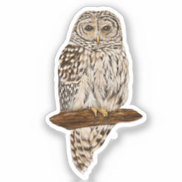 Pegatina Barred Owl