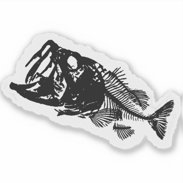 PEGATINA BASES Y BONOS (Anverso)