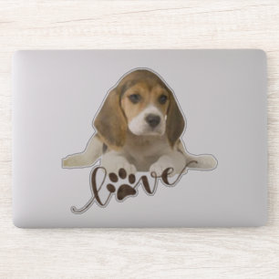 Pegatina Beagle
