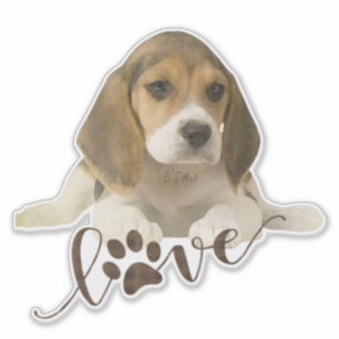 Pegatina Beagle
