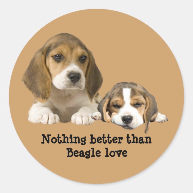Pegatina Beagle Buddies (Anverso)