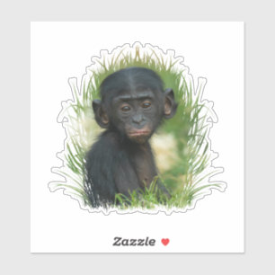 Pegatina Bebé Bonobo Ape