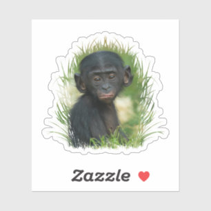 Pegatina Bebé bonobo en la hierba