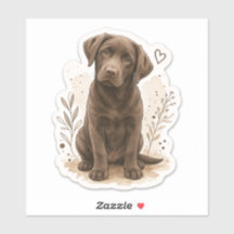 Bebés peludos: Lab Chocolate