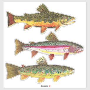 Pegatina Bella trucha - Pesca en Brook, Brown, Rainbow