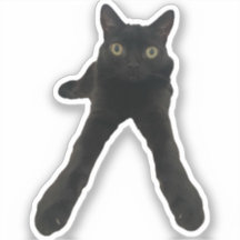 bigfoot jinx cat