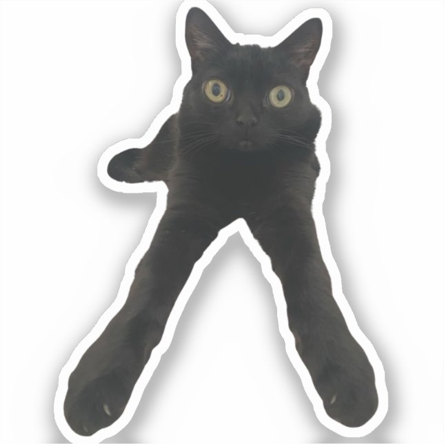Pegatina bigfoot jinx cat (Anverso)