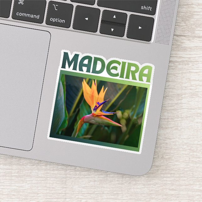Pegatina Bird of Paradise flower, Madeira Portugal travel (Detalle)