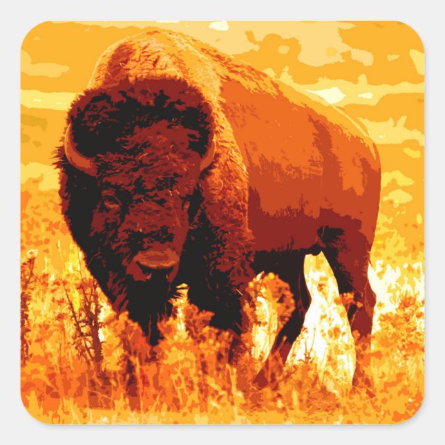 Pegatina Bison / Buffalo Square (Anverso)
