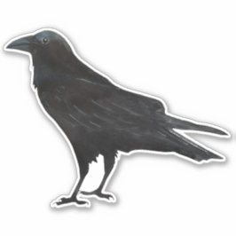 Pegatina Black Bird Crow