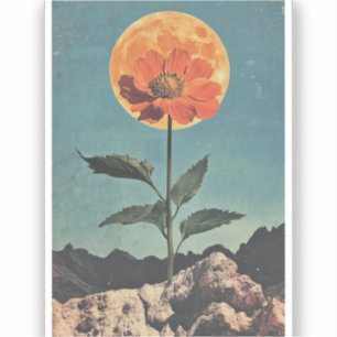 Pegatina Bloom Naranja iluminado por luna - Encanto Boho vi