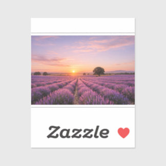 Pegatina Blooming Lavender Field at Golden Sunset Provence