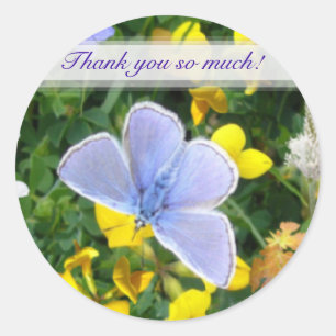 PEGATINA BLUE BUTTERFLY