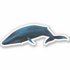 PEGATINA BLUE WHALE
