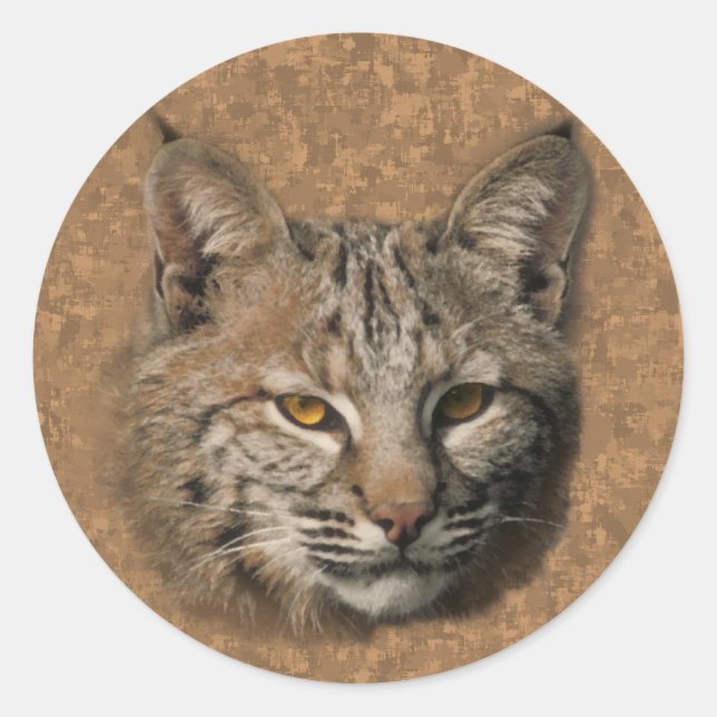 Pegatina Bobcat (Anverso)