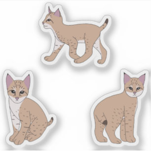 Pegatina Bobcats