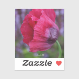 Pegatina Bonita flor rosa y morada de amapola