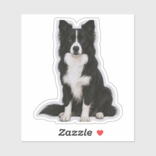 Pegatina Border Collie sentado