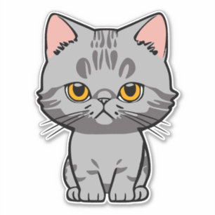 Pegatina British Shorthair