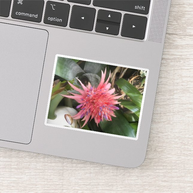 Pegatina Bromeliad Flower (Detalle)