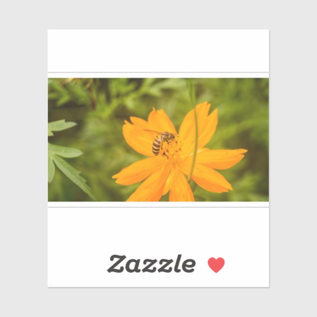 Pegatina Bumblebee on a Sulfur Cosmos (Hoja)