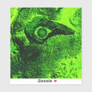 Pegatina buscando verde