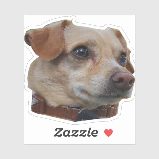 Pegatina Buster (Hoja)