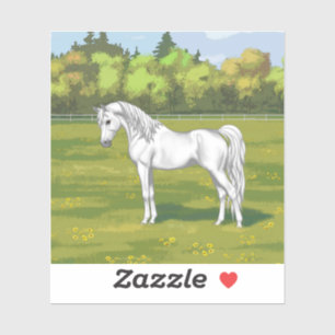 Pegatina Caballo árabe egipcio blanco en pastura de verano