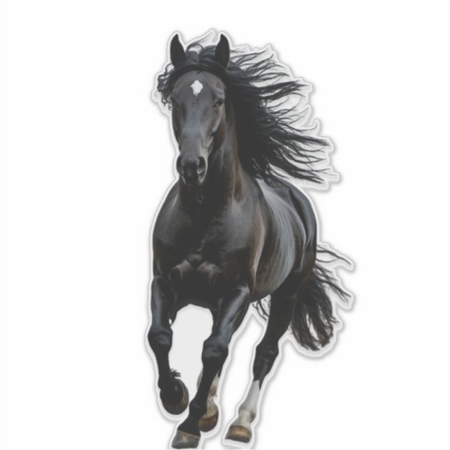 Pegatina Caballo negro (Anverso)