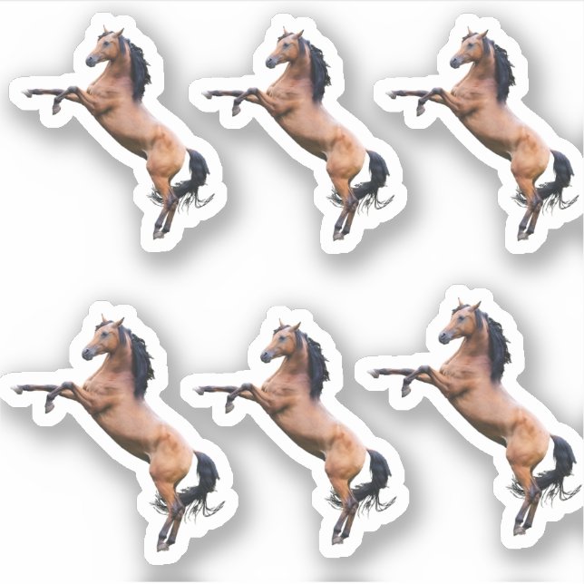 Pegatina Caballos (Anverso)