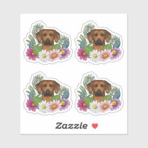Pegatina Cabeza de perro Ridgeback de Rodesia y flores colo