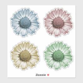 Pegatina Cabezas de flores de margarita lindas Set de cuatr