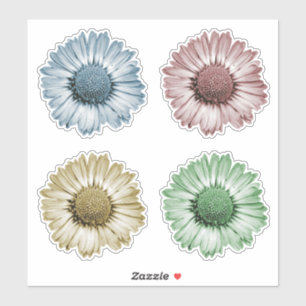 Pegatina Cabezas de flores de margarita lindas Set de cuatr