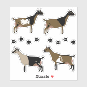 Pegatina Cabra láctea enana nigeriana