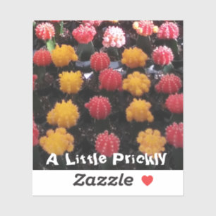 Pegatina Cactus Fruit