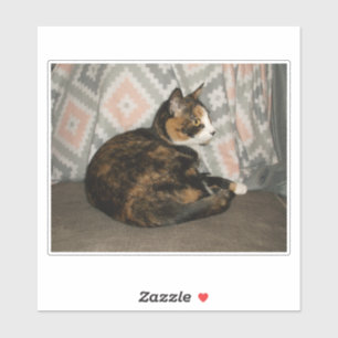 Pegatina Callie Cat en Sofa