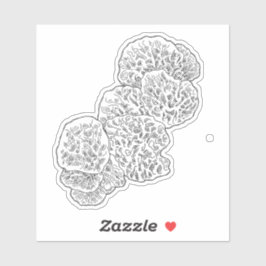 Pegatina Campamalia Mushroom