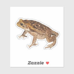 Pegatina Cane Toad