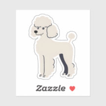 Caniche lindo