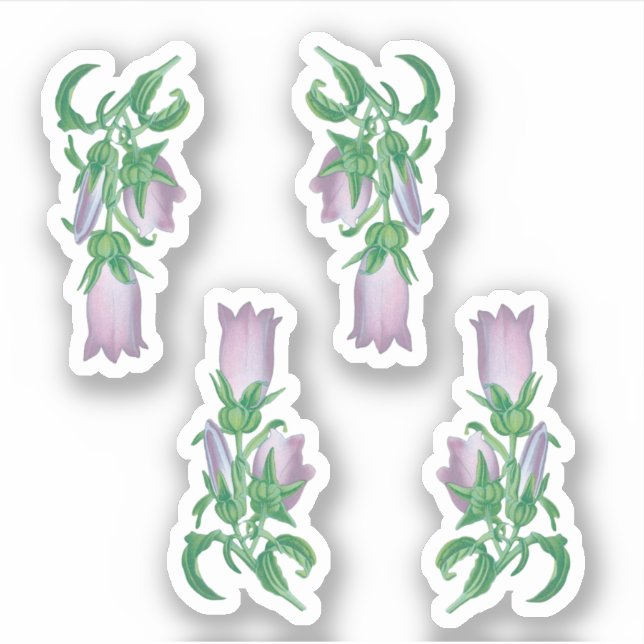 Pegatina Canterbury Bells para St. Thomas Becket (4 pequeño (Anverso)