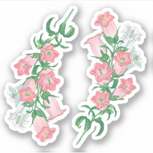 Pegatina Canterbury Bells para St. Thomas Becket (fL) - (Anverso)