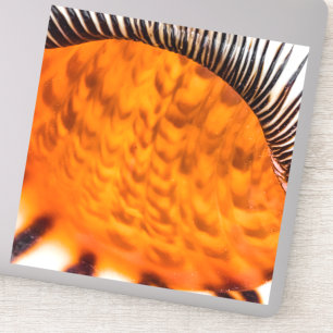 Pegatina Capa de agua de mar