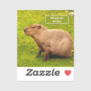 Pegatina Capibara personalizada