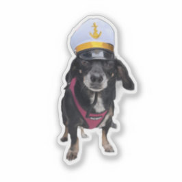 Pegatina Capitán de Dachshund