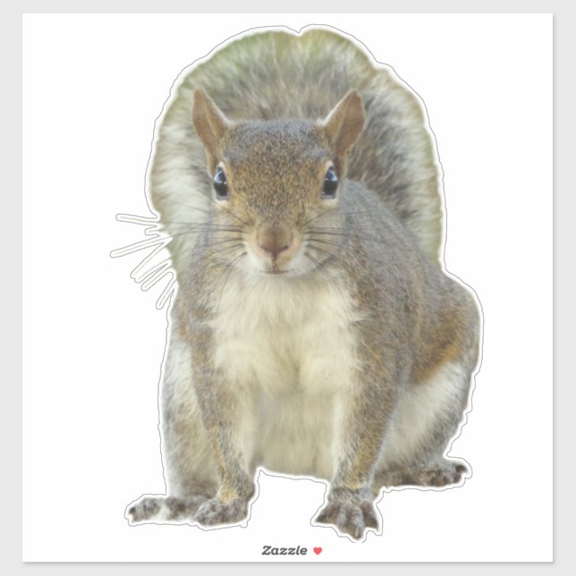 Pegatina Cara a cara de ardilla (Hoja)