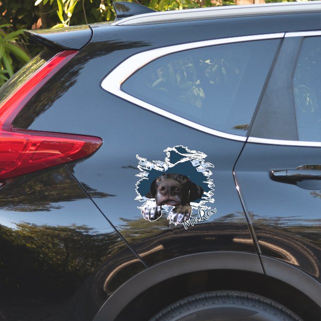 Pegatina Cara de perro Fanny (Lado del coche)