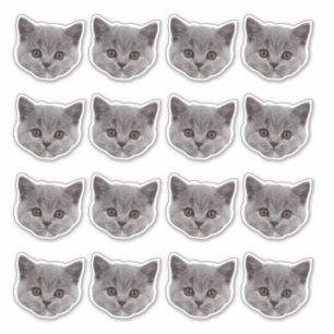 Pegatina Cara personalizada de gato lindo 16 fotos Vinyl