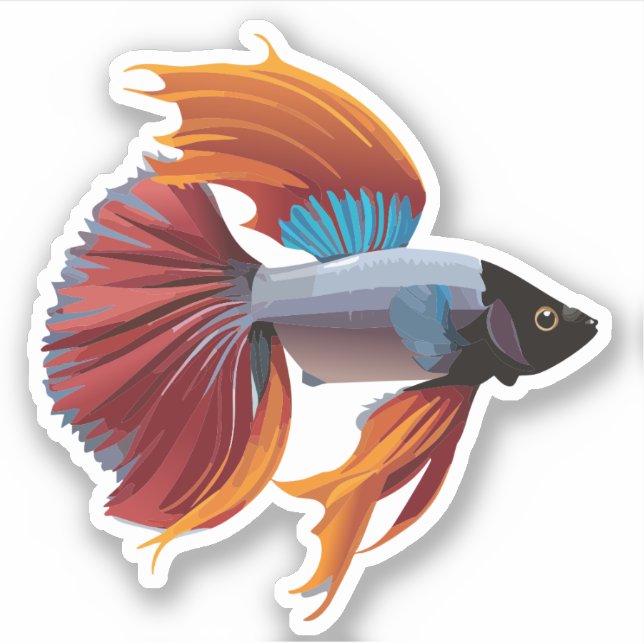 Pegatina Caracter Personalizado de peces beta macho (Anverso)