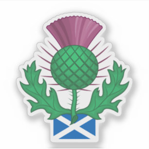 Pegatina Cardo de Escocia
