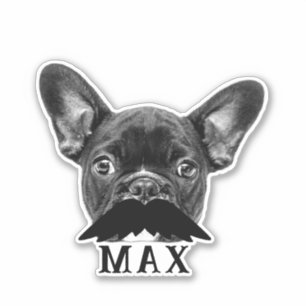 Pegatina Cargar Mascota Face Photo & Name con Funny Mustach